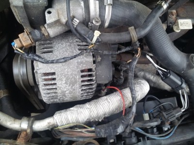 2013-11-16 08.00.36_900.jpg