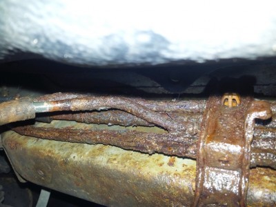 2013-11-19 11.24.40_novy.jpg