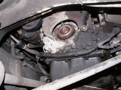 PICT1006.JPG