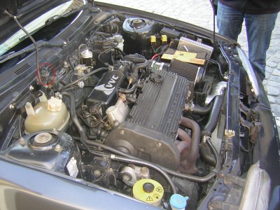 DSCN3561.JPG (332.71 KiB) Zobrazeno 4414 x DSCN3561.JPG