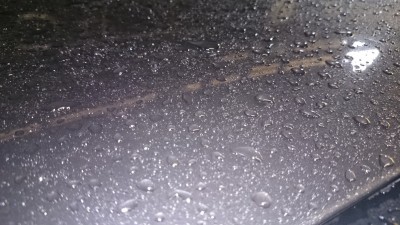 DSC_0175.JPG
